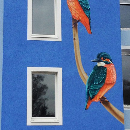 Farbwandel Fassadenkunst Wandgestaltung Vögel