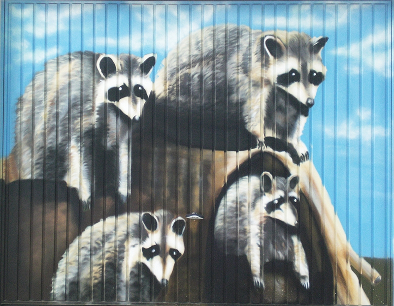 Farbwandel Fassadenkunst - individuelle Garagenbemalungen