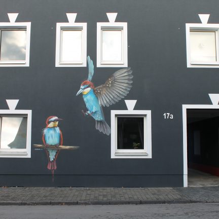 Farbwandel Fassadenkunst Wandbild Vogel