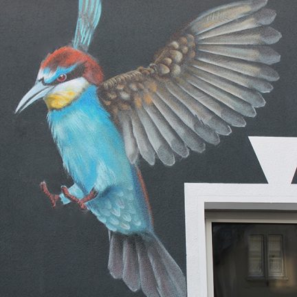 Farbwandel Fassadenkunst Wandbild Vogel