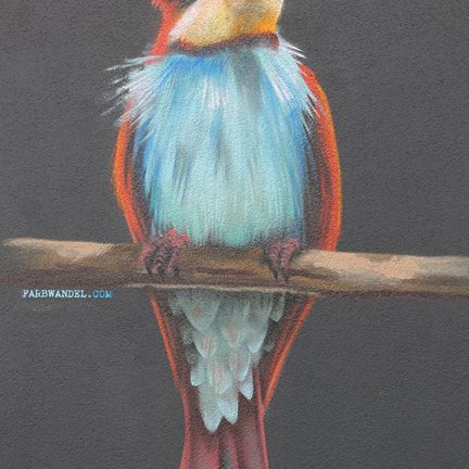 Farbwandel Fassadenkunst Wandbild Vogel