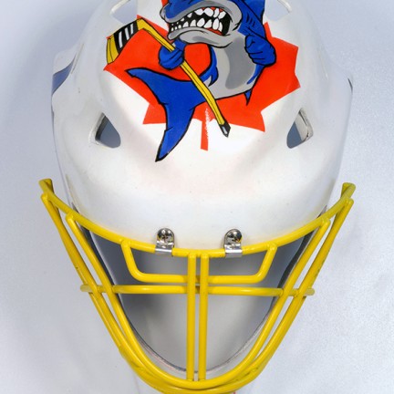 Farbwandel Fassadenkunst Hockeymasken