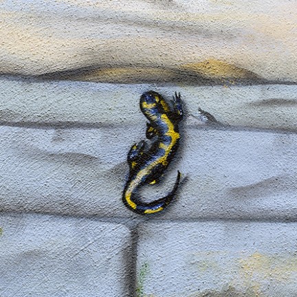 Farbwandel Fassadenkunst Illusionsmalerei