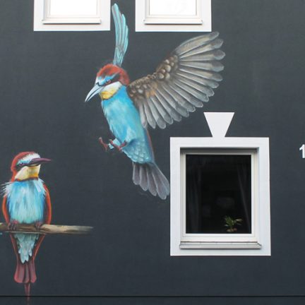 Farbwandel Fassadenkunst Vögel Wandmalerei