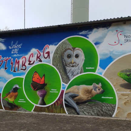 artenschutzwand_natuerlich_stimberg