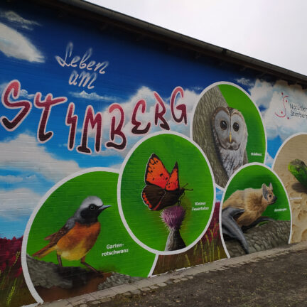 artenschutzwand_natuerlich_stimberg