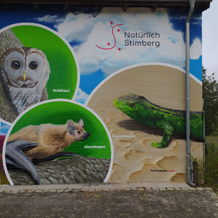 artenschutzwand_natuerlich_stimberg
