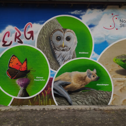 artenschutzwand_natuerlich_stimberg