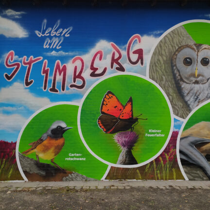 artenschutzwand_natuerlich_stimberg