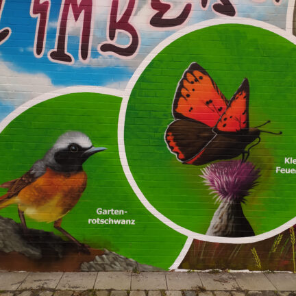 artenschutzwand_natuerlich_stimberg