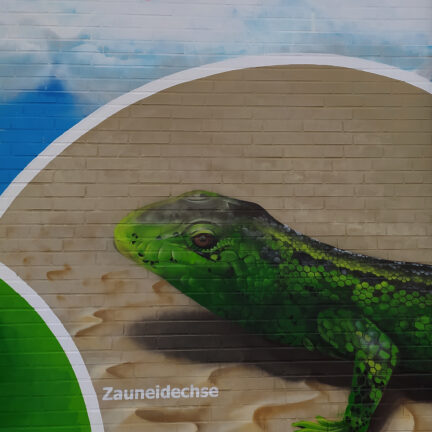 artenschutzwand_natuerlich_stimberg