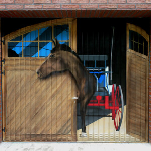 Farbwandel Fassadenkunst - individuelle Garagenbemalungen